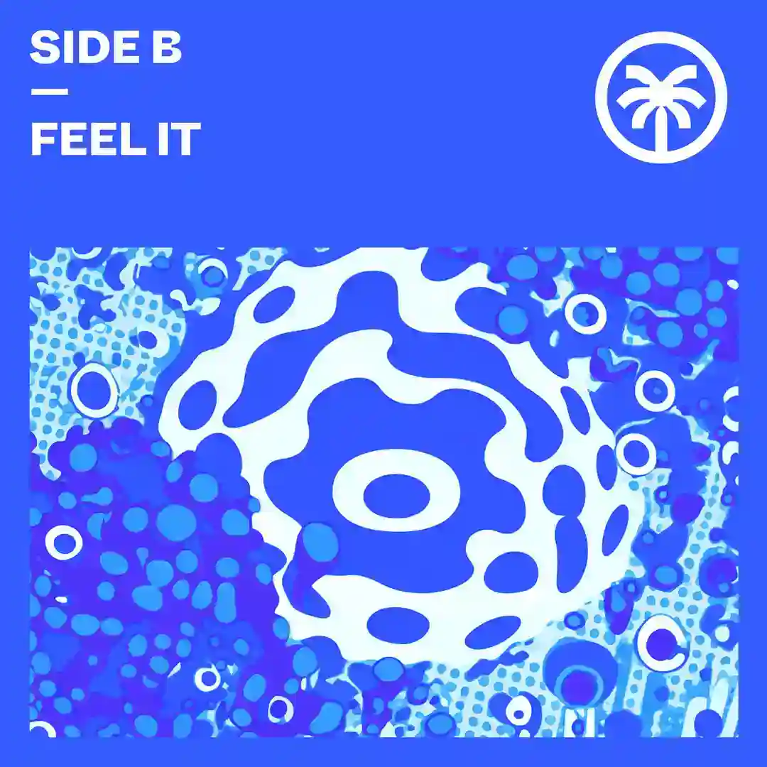 She Feel it (Original Mix) cover