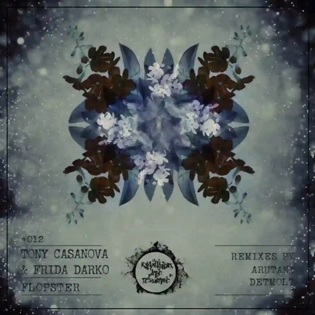 Flopster (DETMOLT Remix) cover