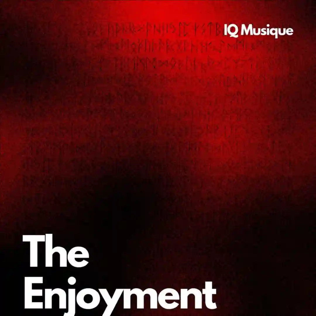 The Enjoyment cover