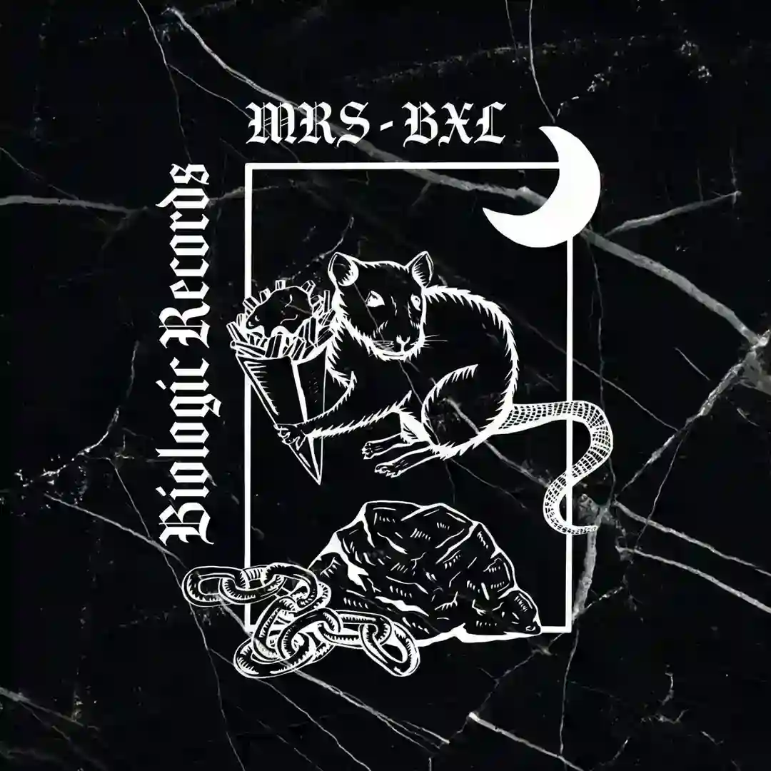 We're Still Here cover