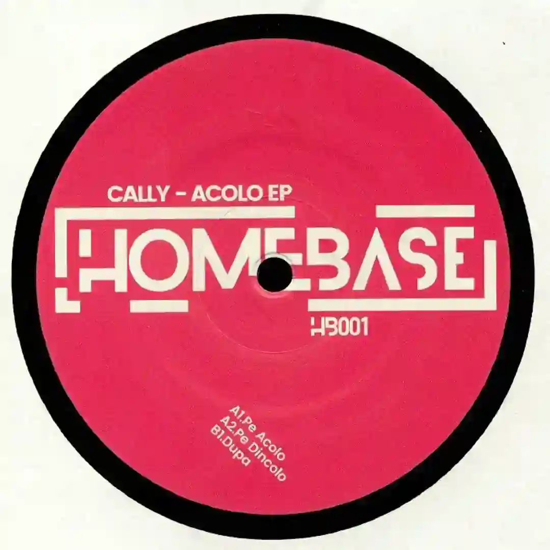 B1 Dupa VINYL ONLY  cover