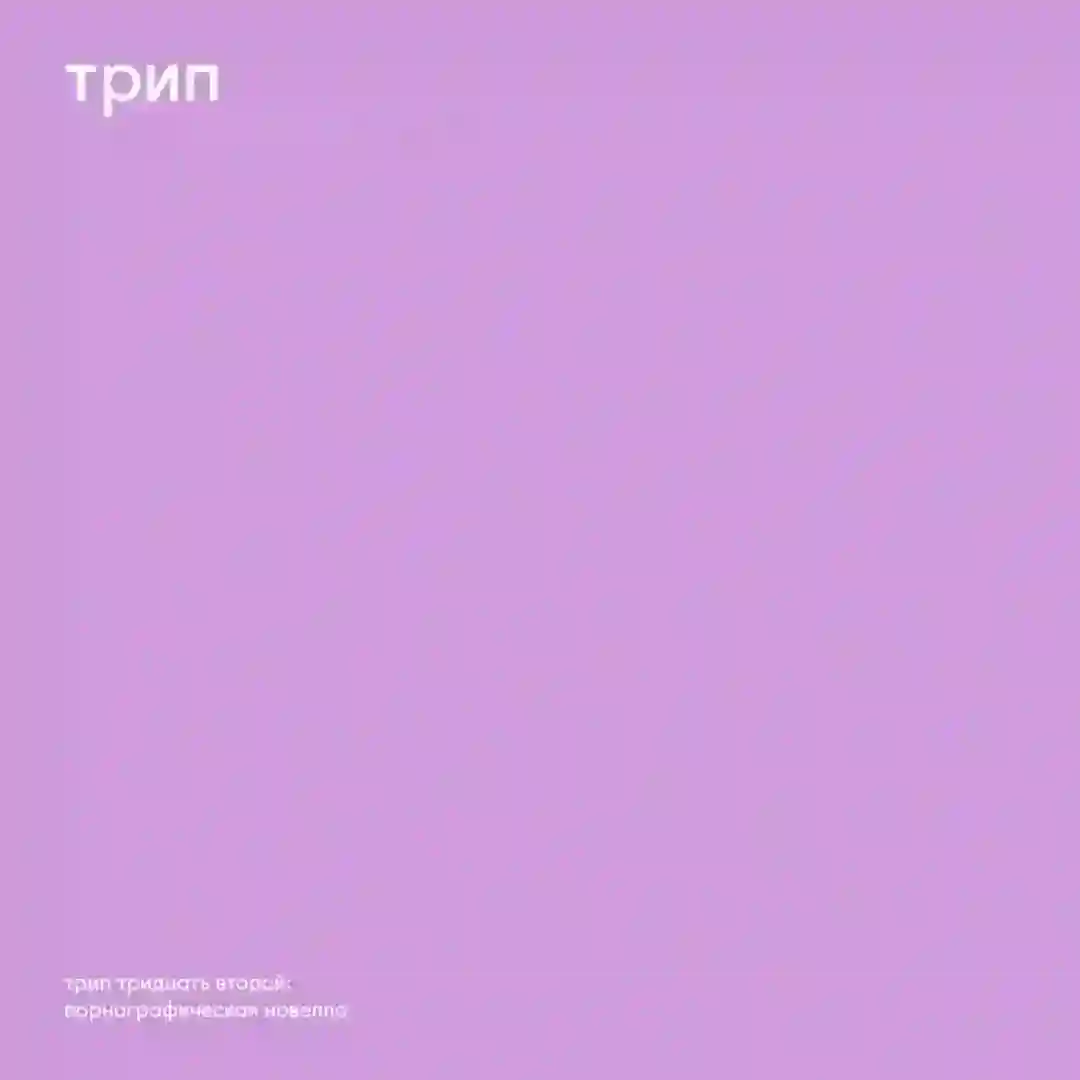 company of 302s cover