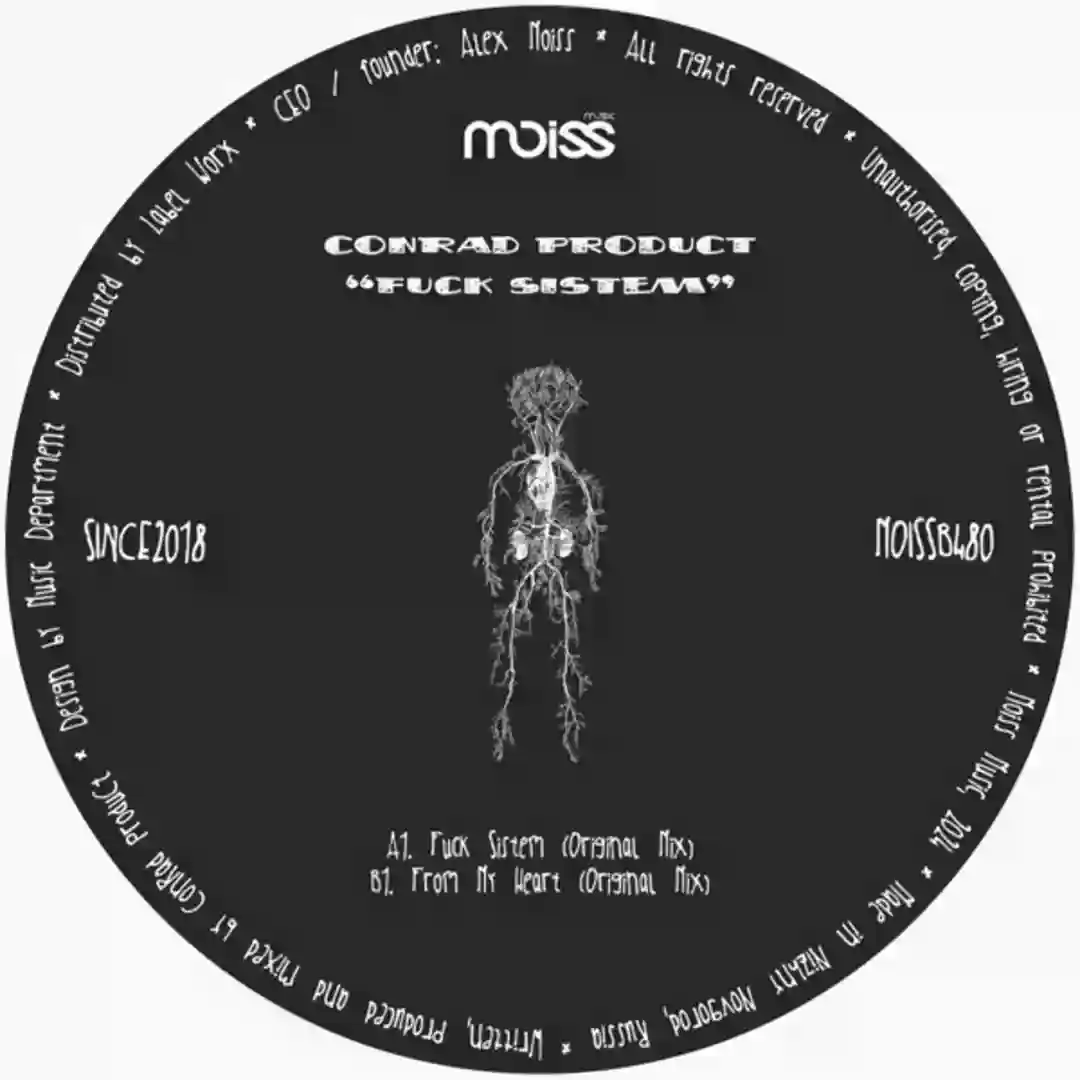 Fuck Sistem (Original Mix) cover