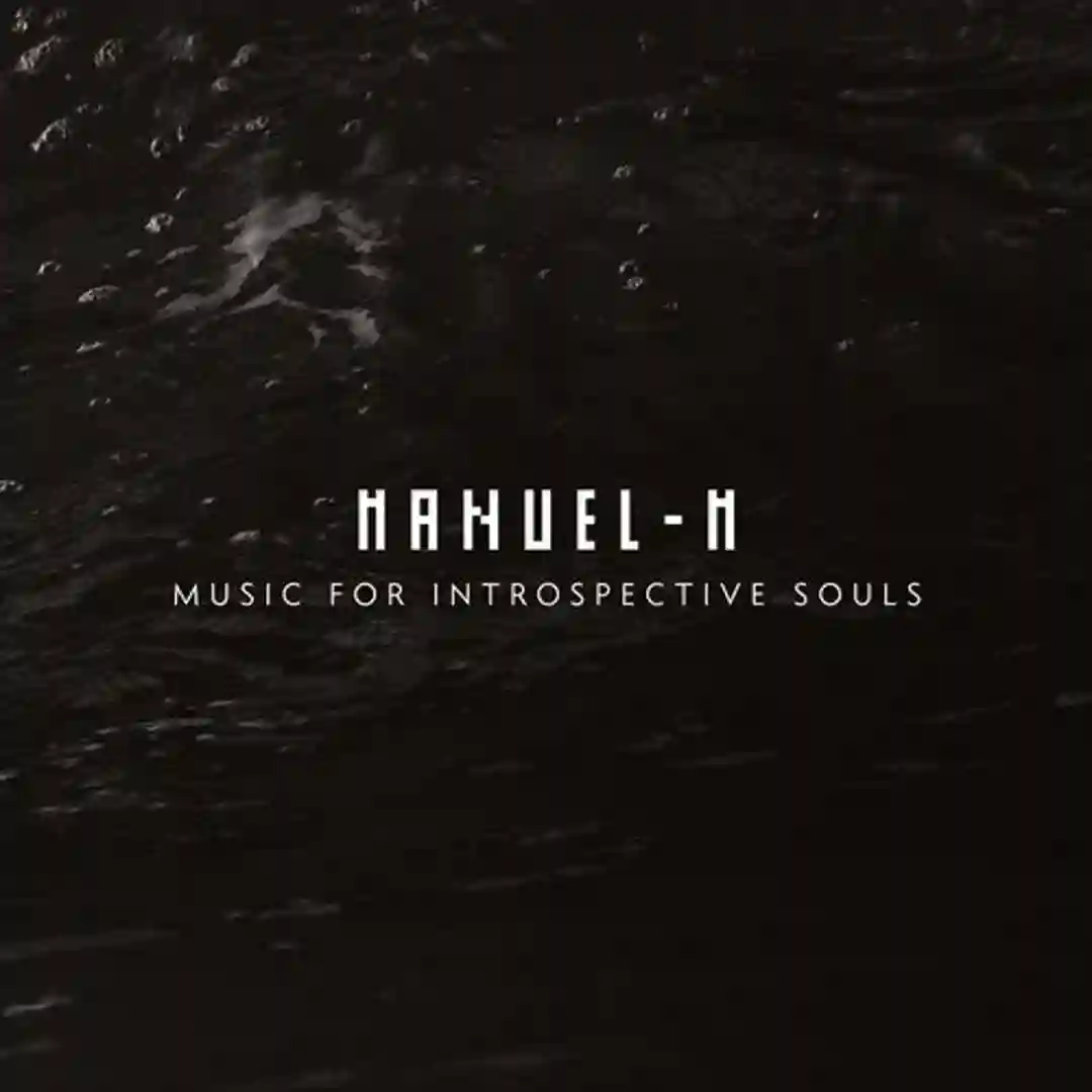 Introspection (Original Mix) cover