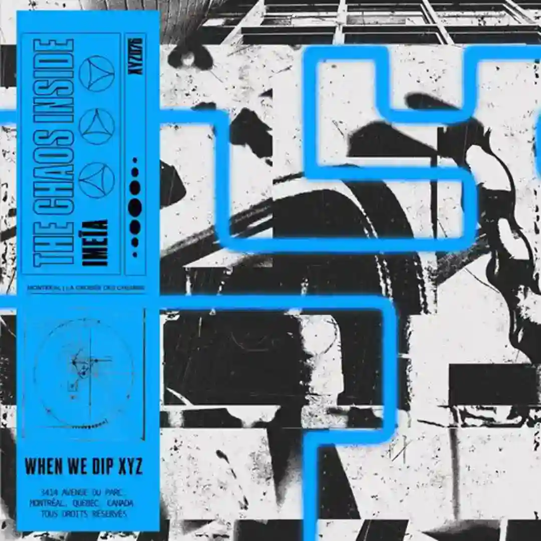 The Chaos Inside cover
