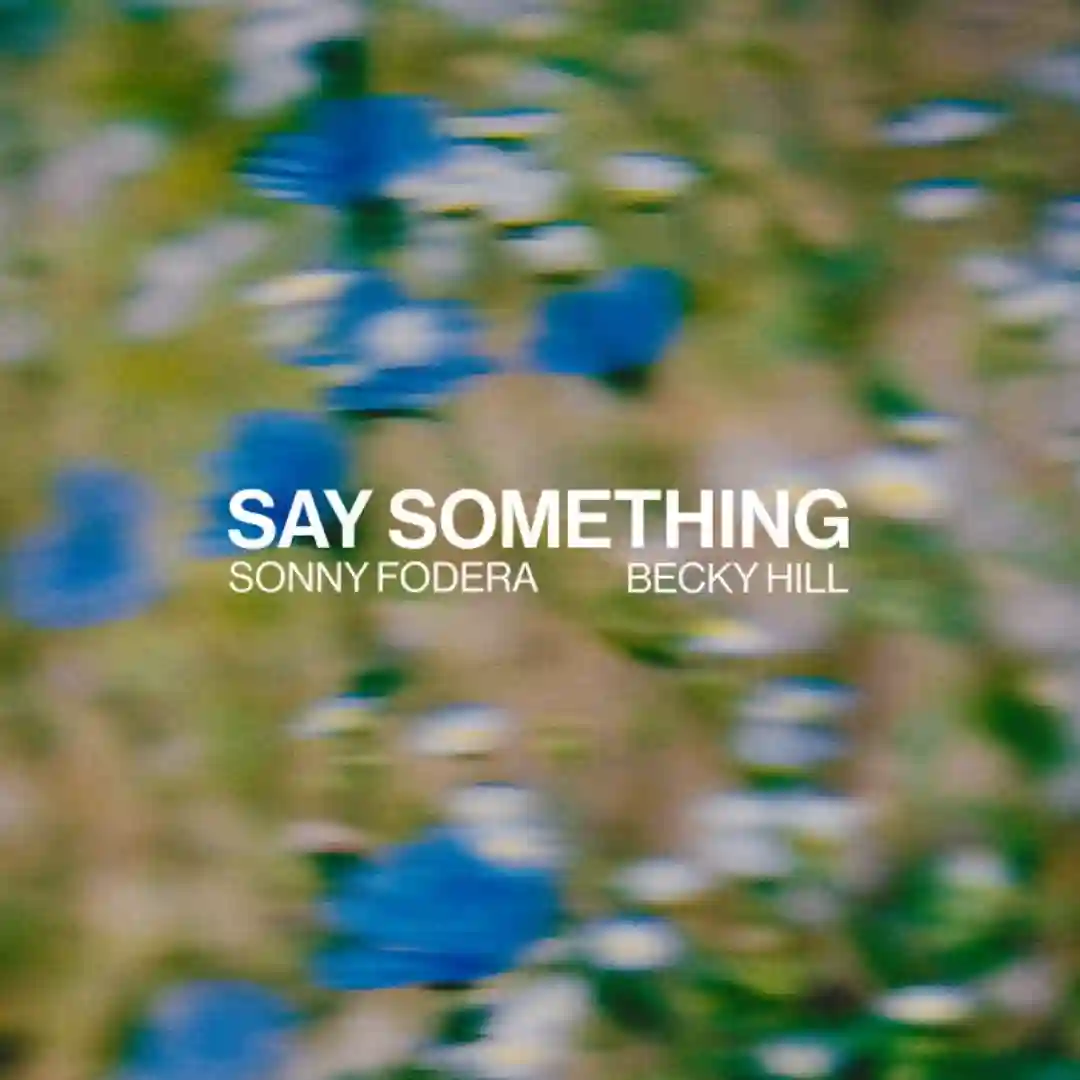Say Something cover