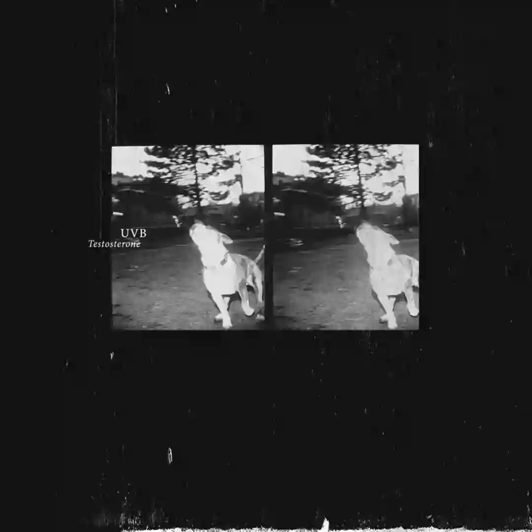 Masculinity cover
