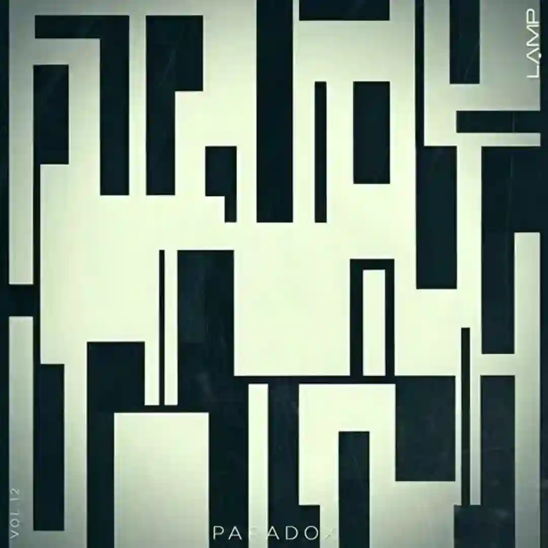 Paradox, Vol. 12 cover