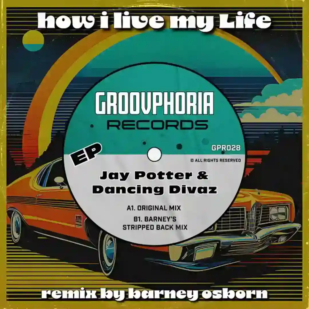 How I Live My Life cover