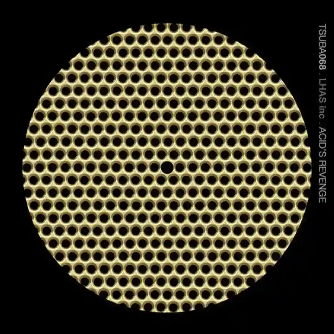 Acid's Revenge (Original Mix) cover