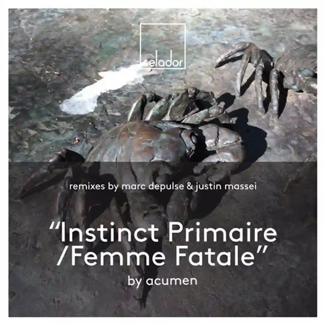 Instinct Primaire (Original Mix) cover