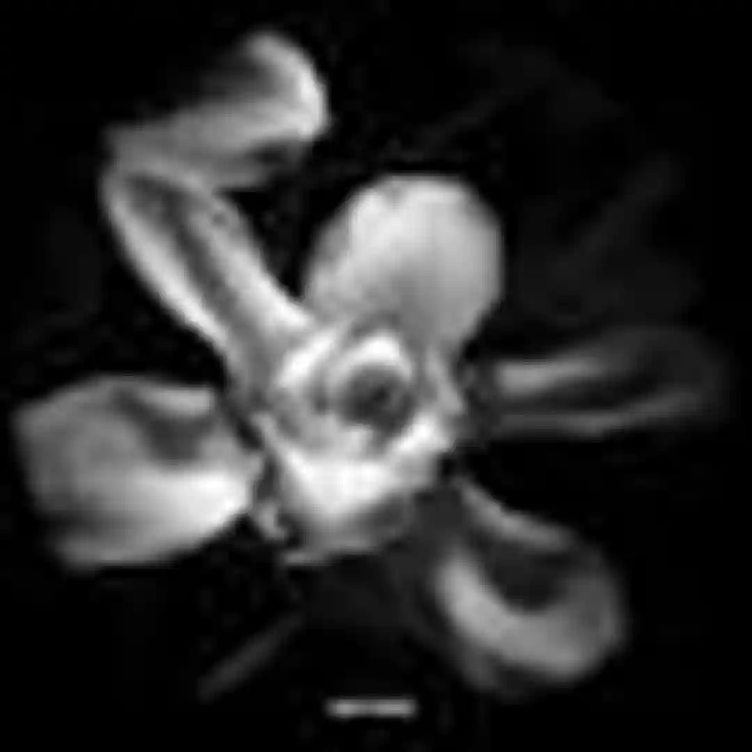 Hexenlaub (Original Mix) cover