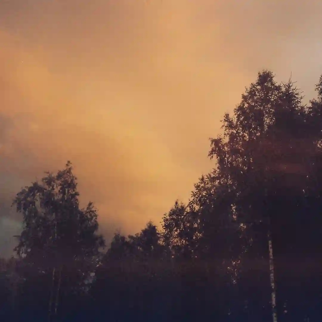 Hägn Vid Tidens Ände cover