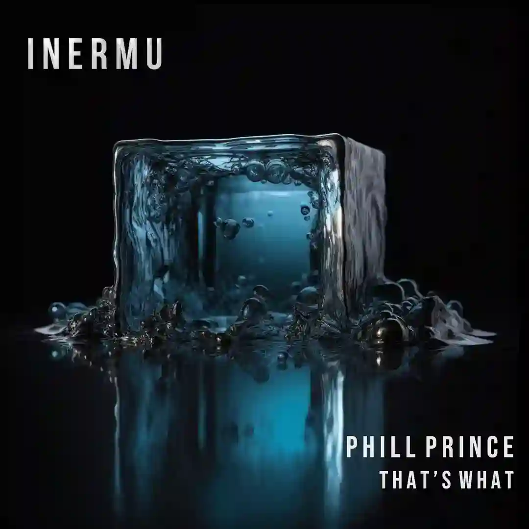 That's What (Original Mix) cover