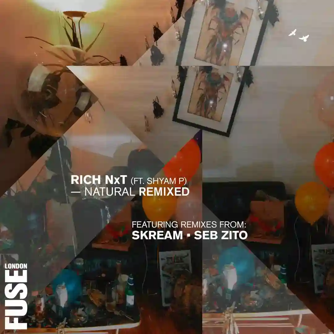 Natural Remixed cover