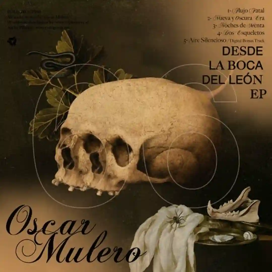 Flujo Fatal (Original mix) cover