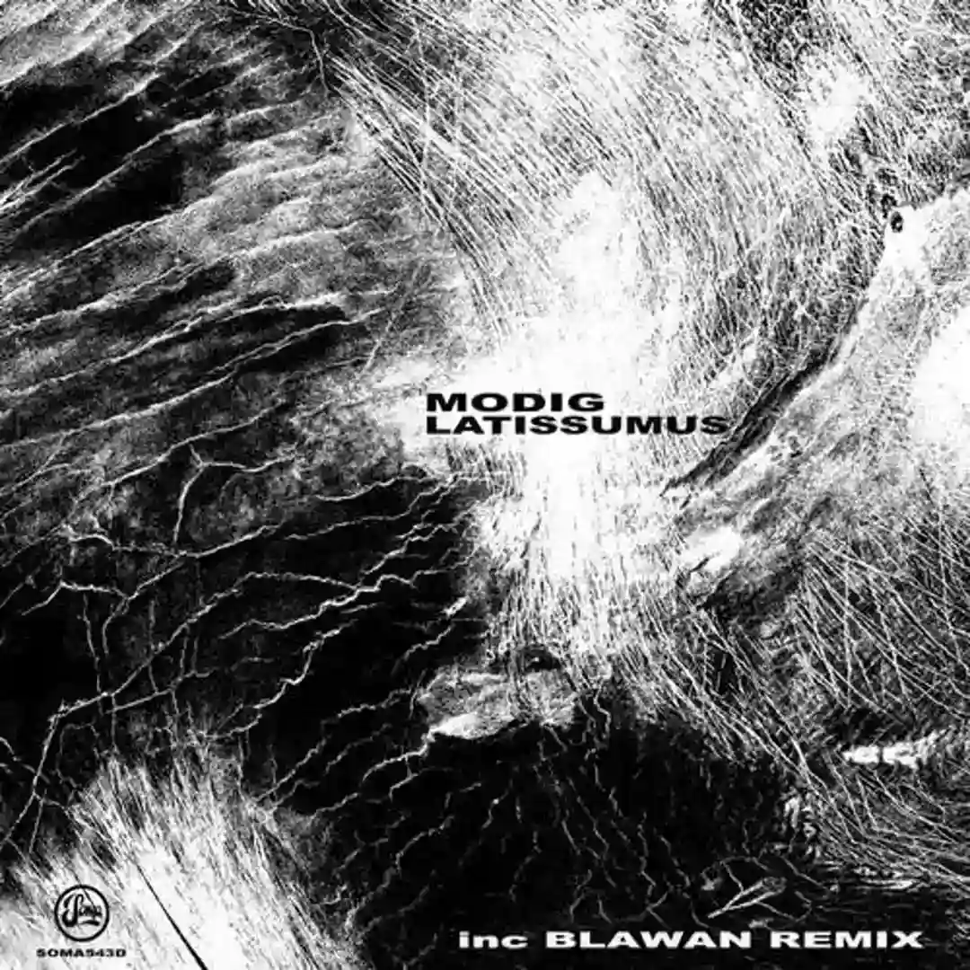 Latissimus (Blawan Remix) cover