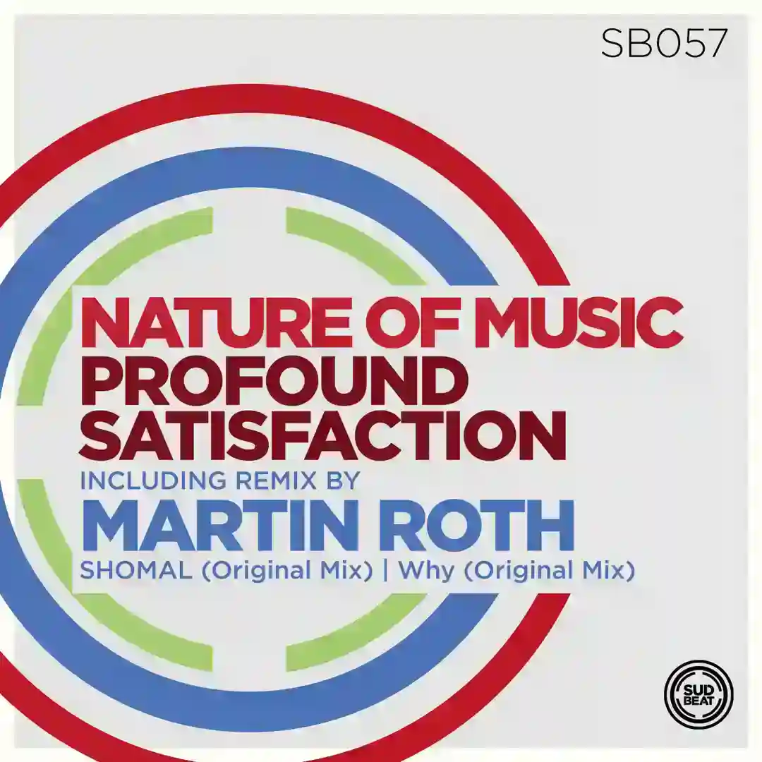 Profound Satisfaction (Martin Roth Remix) cover