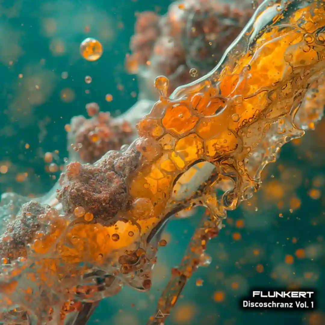 Discoschranz, Vol. 1 cover