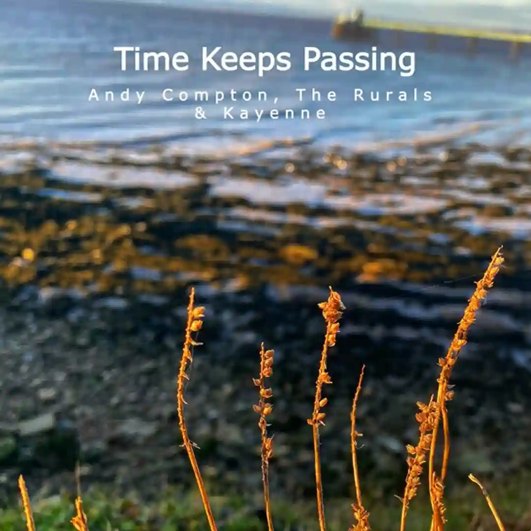 Time Keeps Passing (Shamrock Remix) cover
