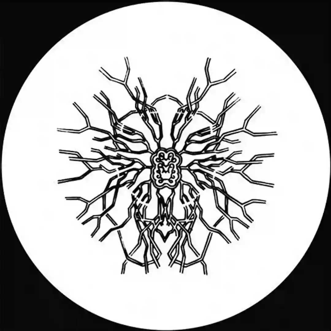 Acta 02 (Original Mix) cover