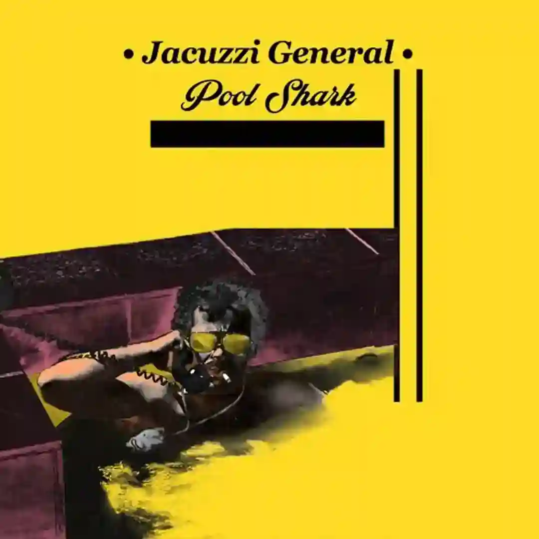 Pool Shark cover