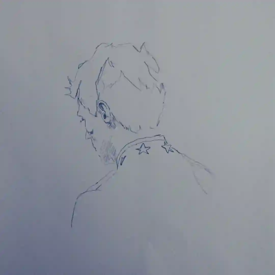 Ry cover
