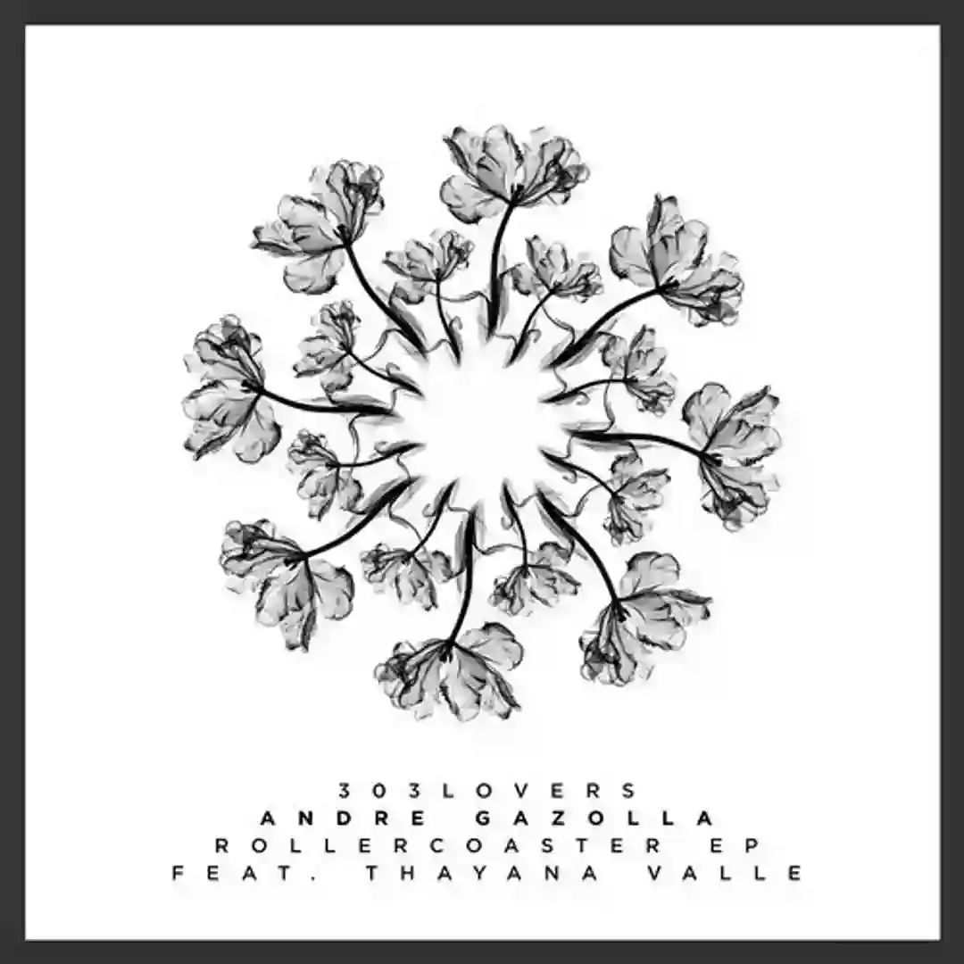 Rollercoaster feat. Thayana Valle (Original Mix) cover