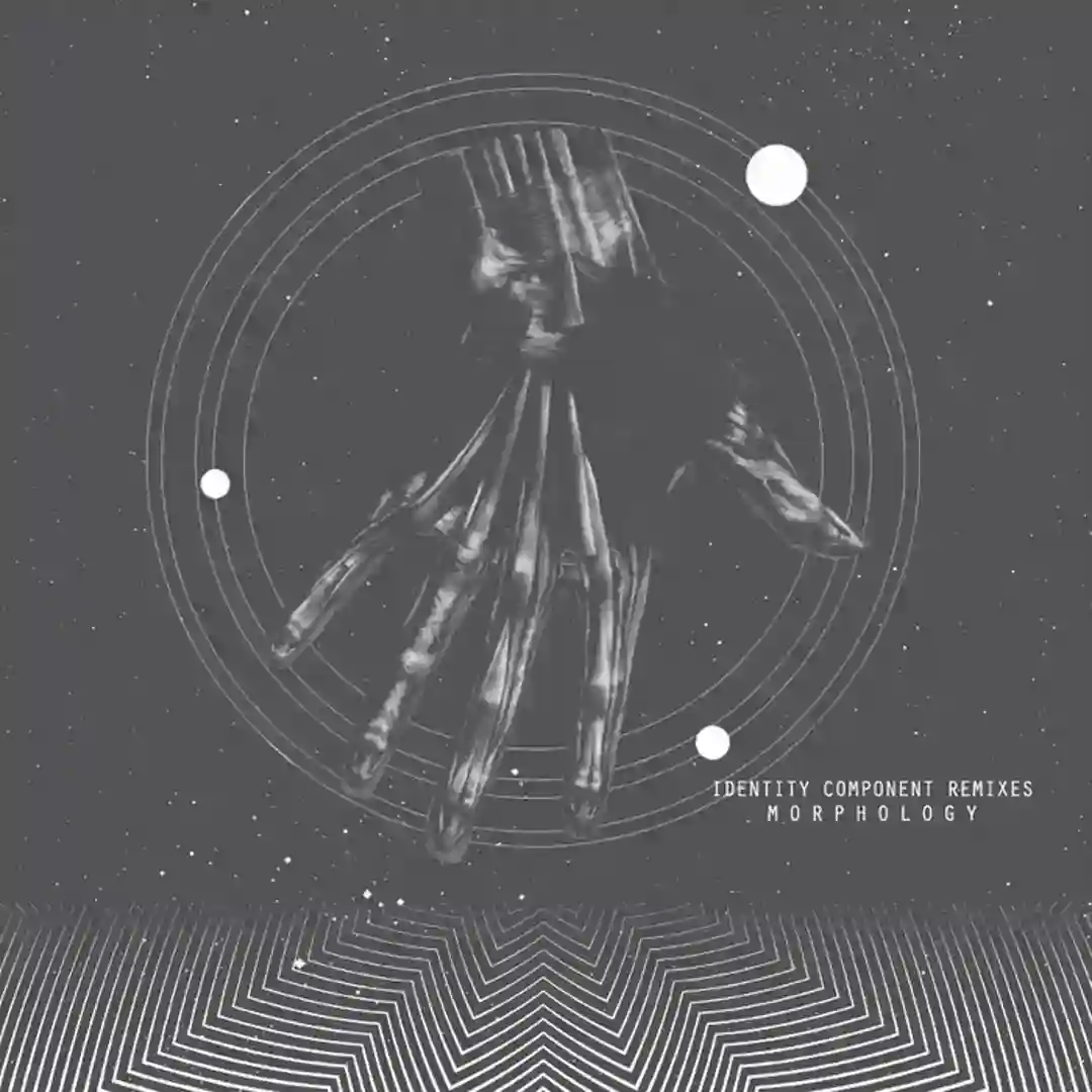 Identity Component (Versalife Remix) cover