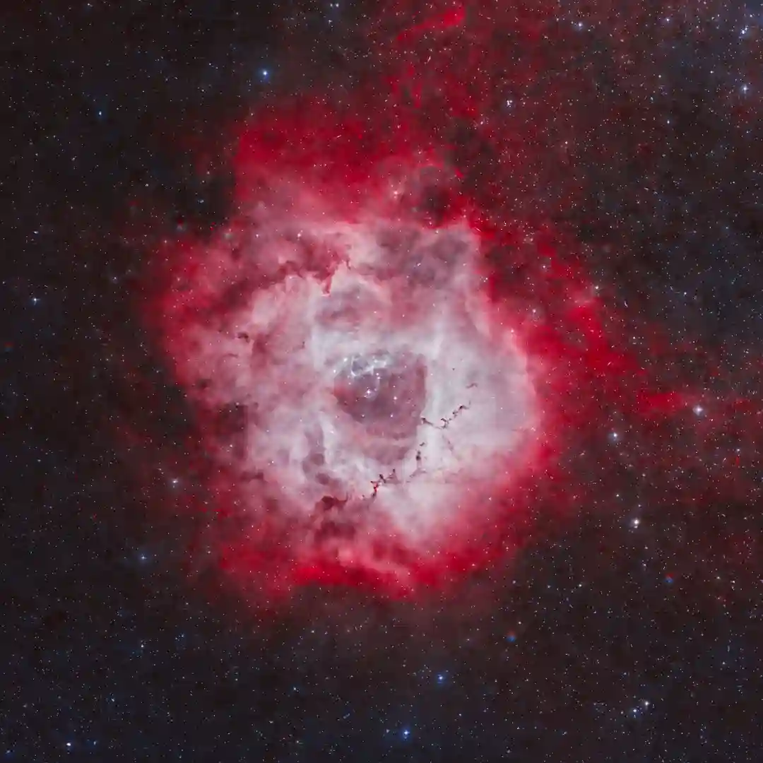Zeta 4 (Original Mix) cover