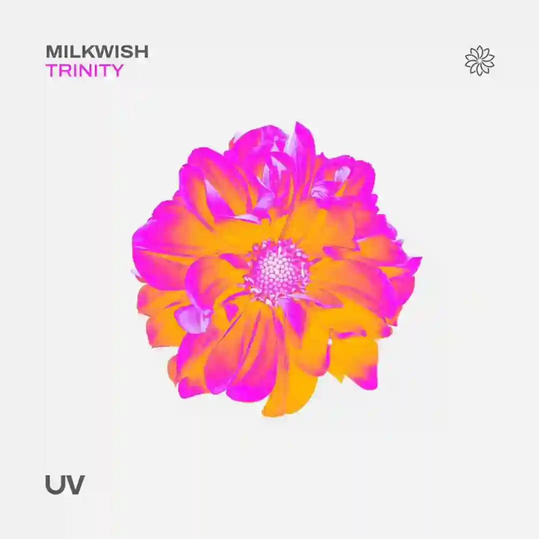 Trinity (Extended Mix) cover