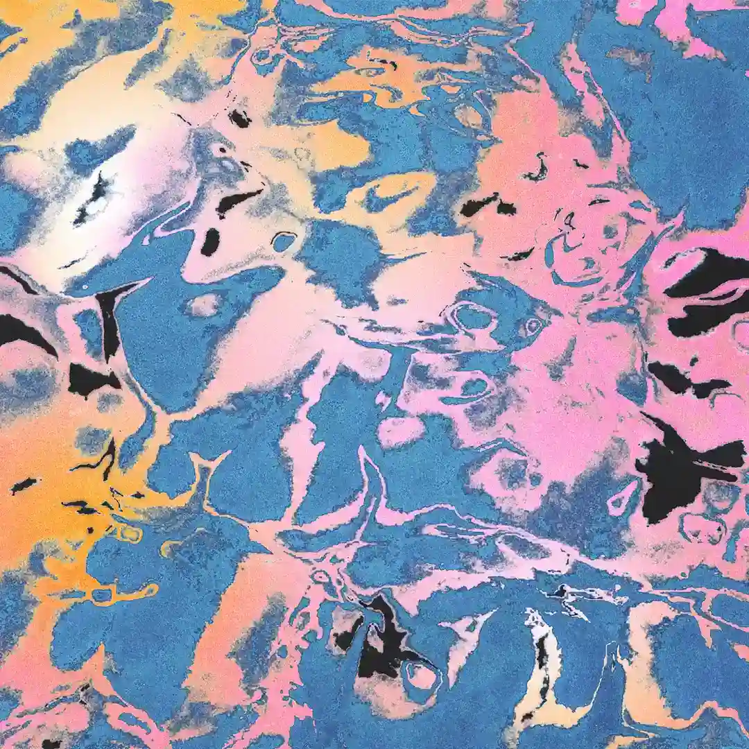 The Future Has Disappeared cover