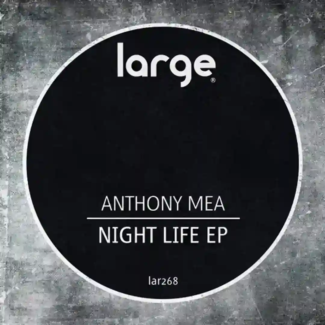 Night Life (Original Mix) cover
