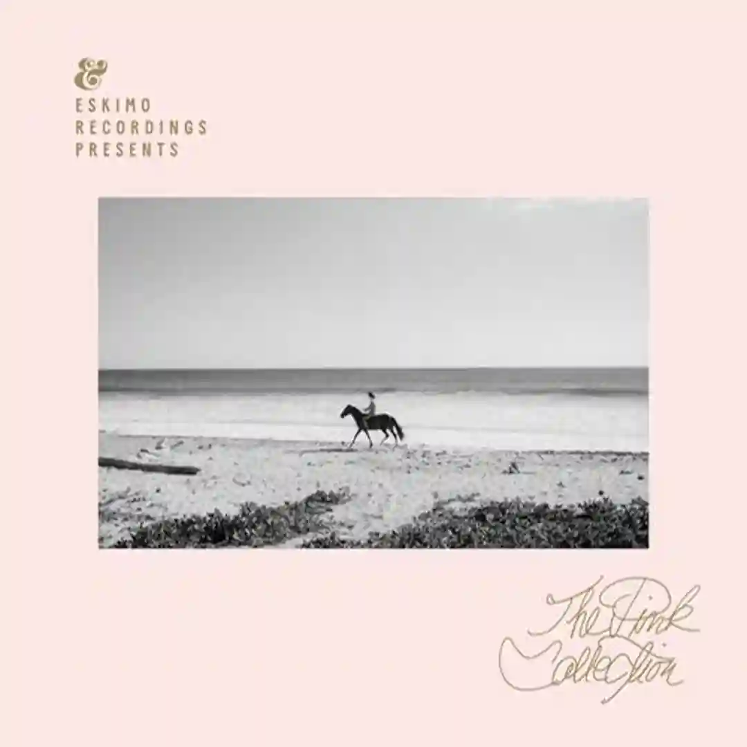 The Fool cover