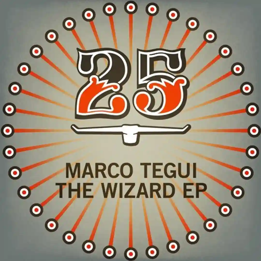 The Wizard Sails Alone (Original Mix) cover