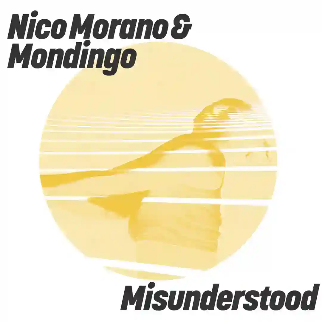 Misunderstood (Extended Mix) cover
