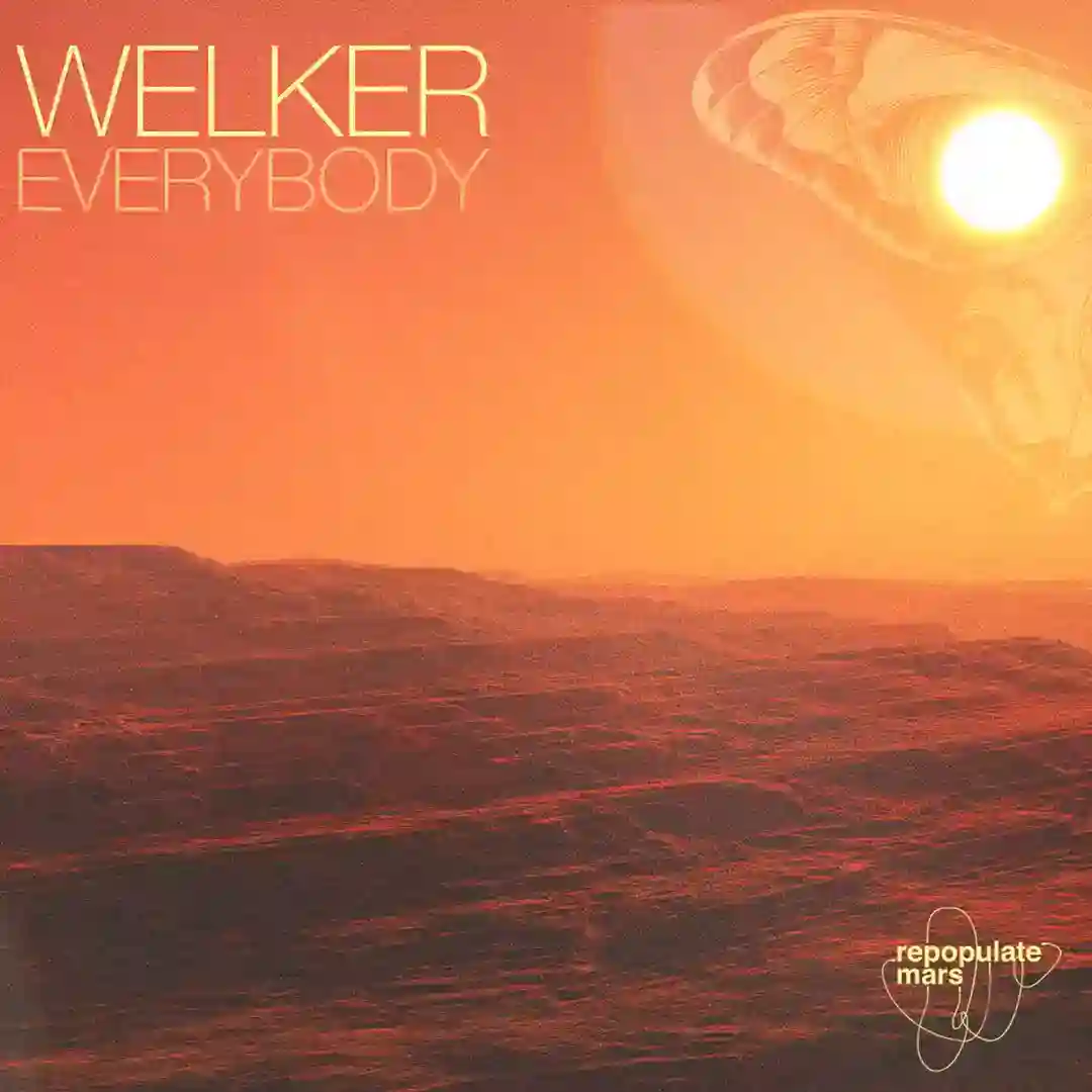 Everybody (Original Mix) cover