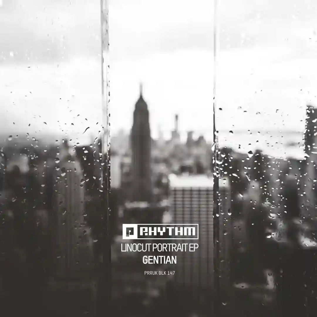 Social Obligation (Original Mix) cover