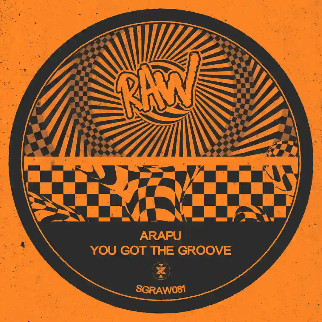 You Got The Groove cover
