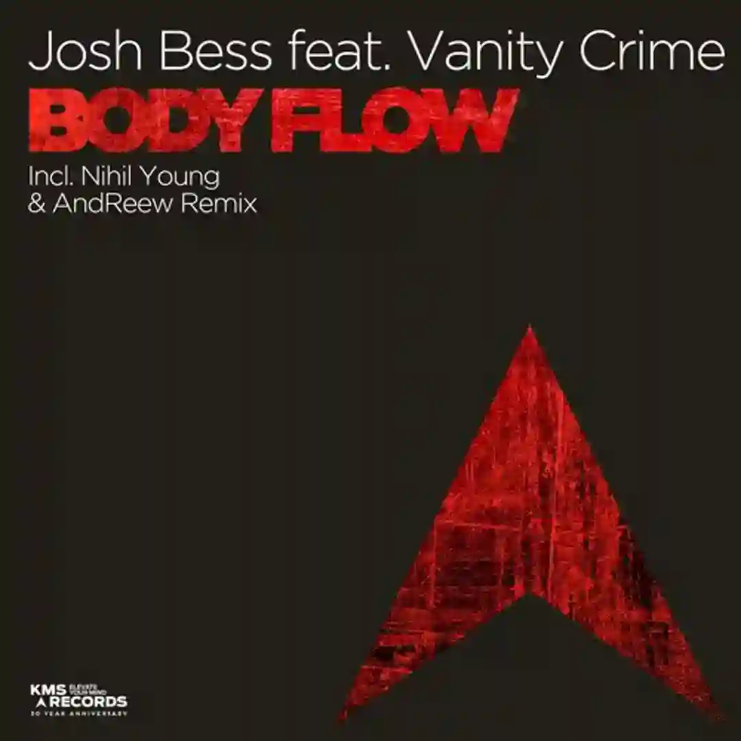 Body Flow feat. Vanity Crime (AndReew Extended Remix) cover