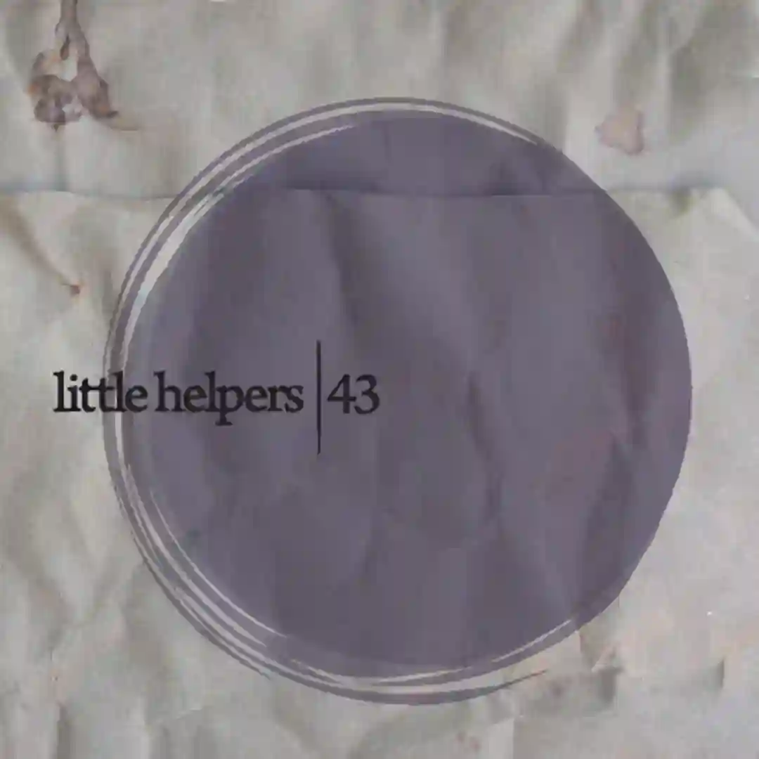 Little Helpers 43 cover