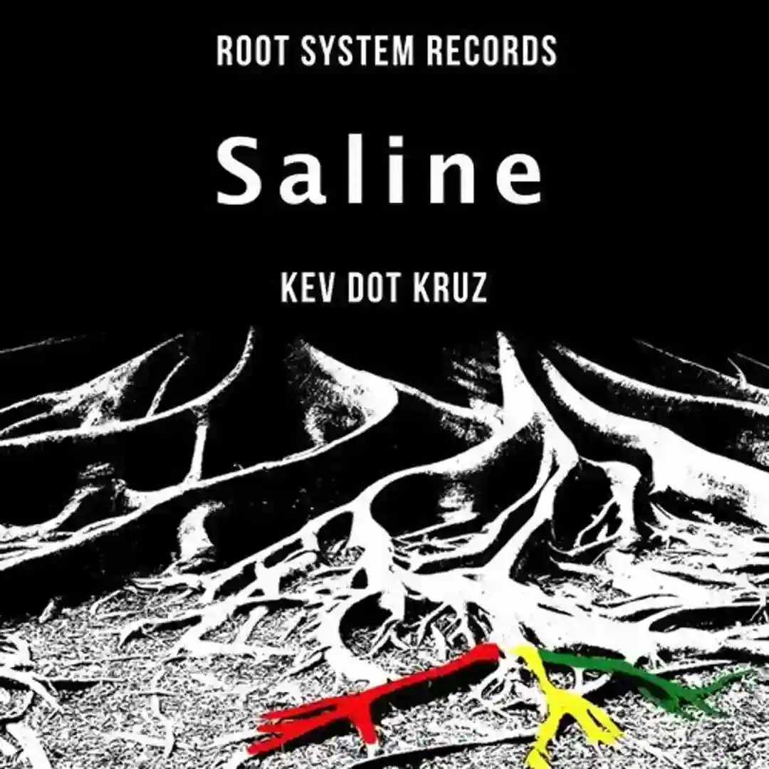 Saline cover