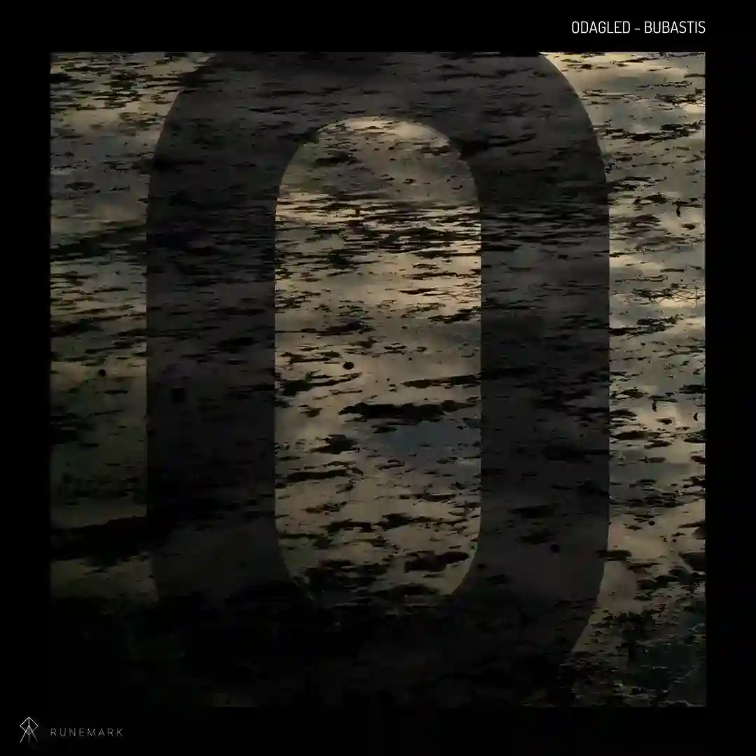 Aviil cover