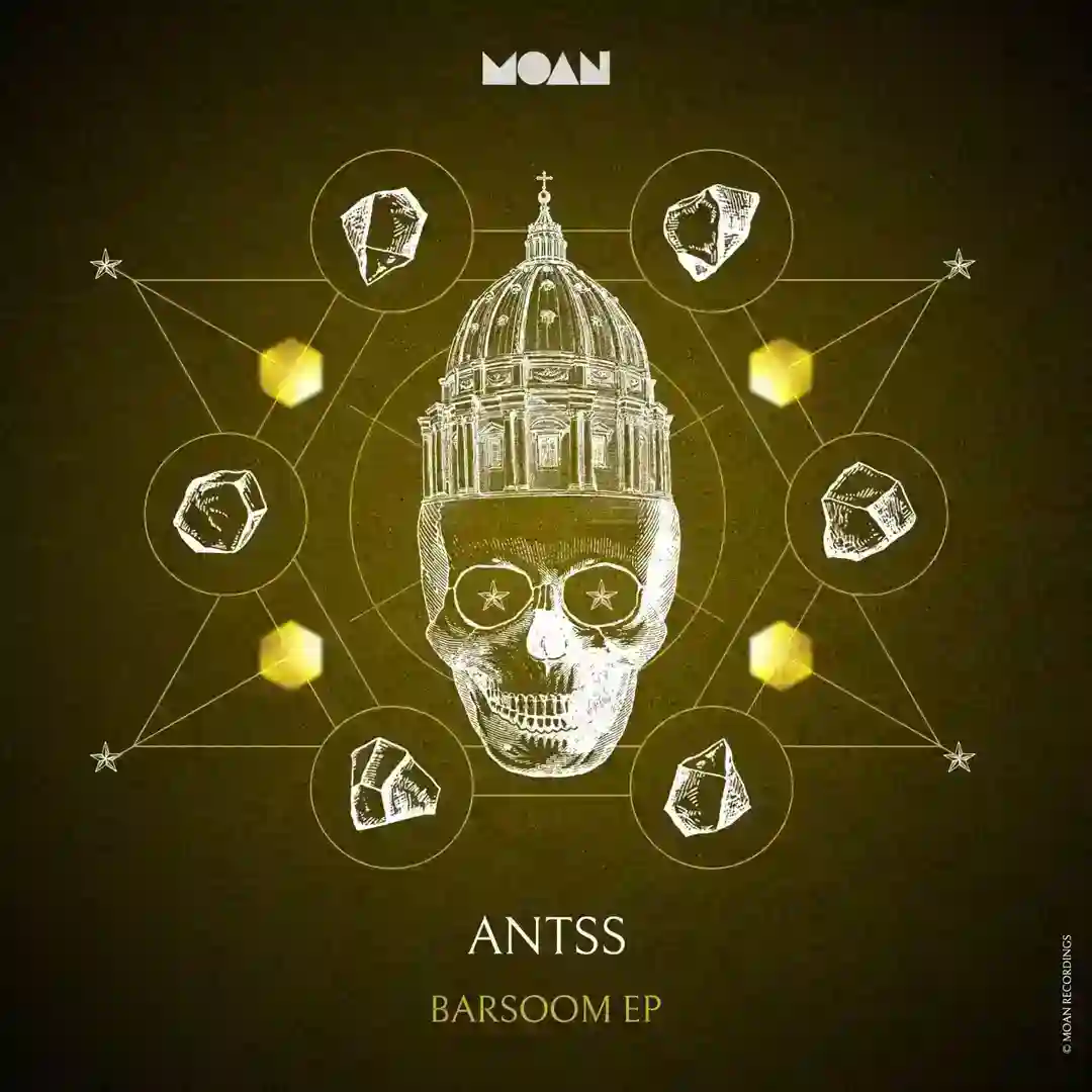 Monkey Food (Original Mix) cover