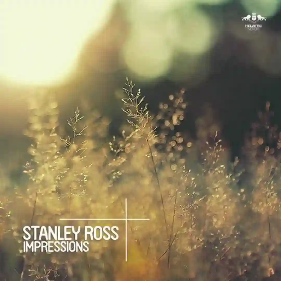 Siamangs (Original Mix) cover