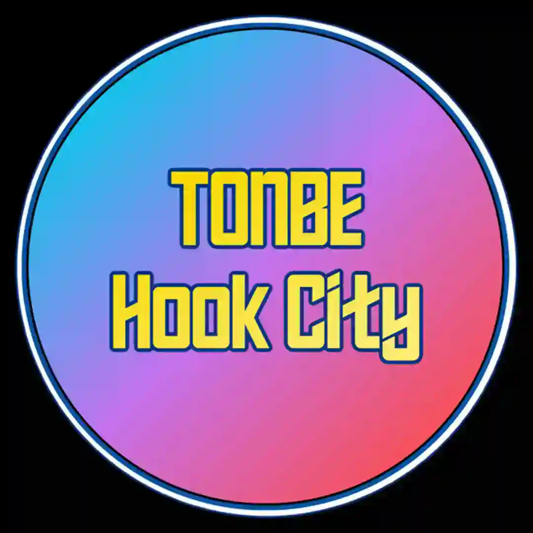 Hook City cover