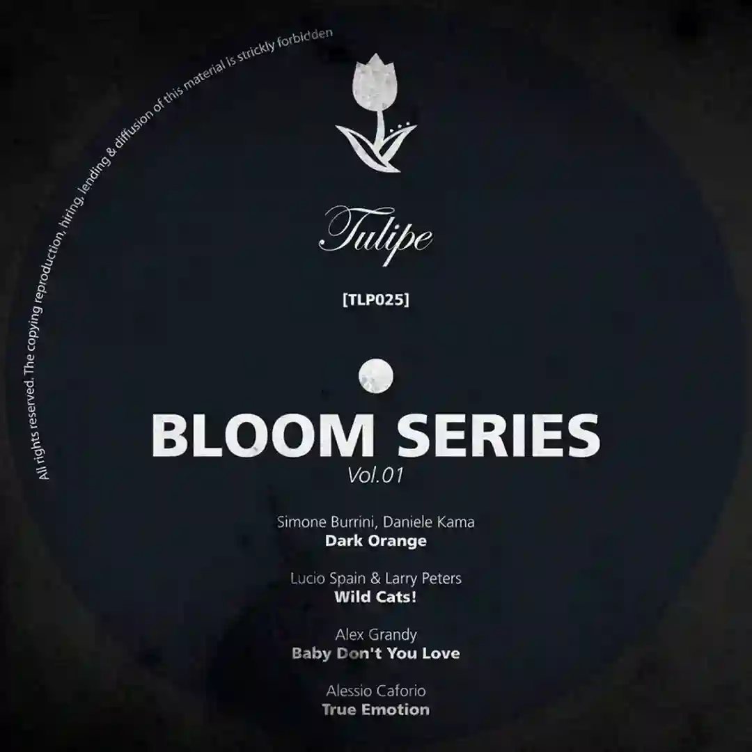 Dark Orange (Original Mix) [Tulipe Records] cover