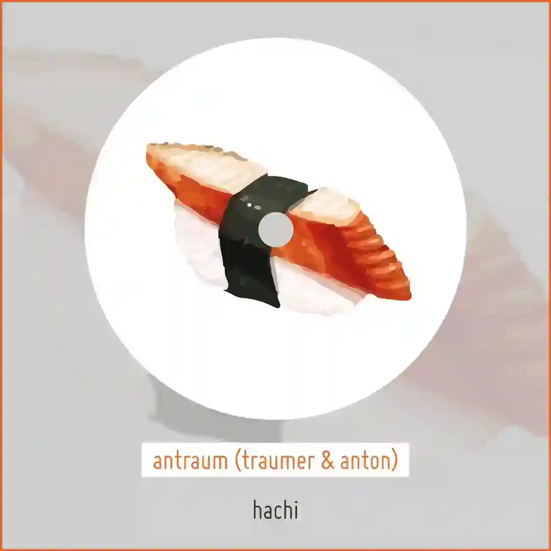 Hachi cover