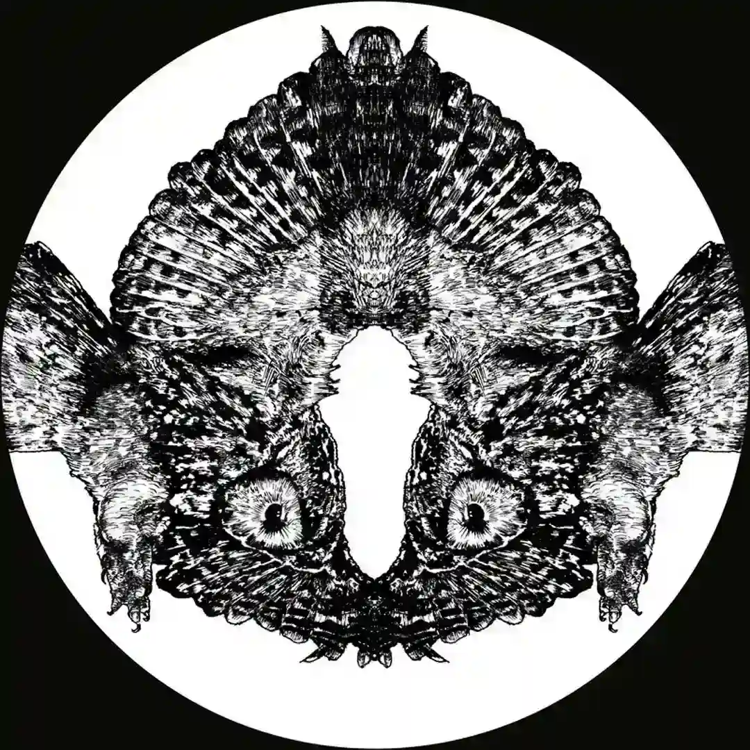 Ahora cover