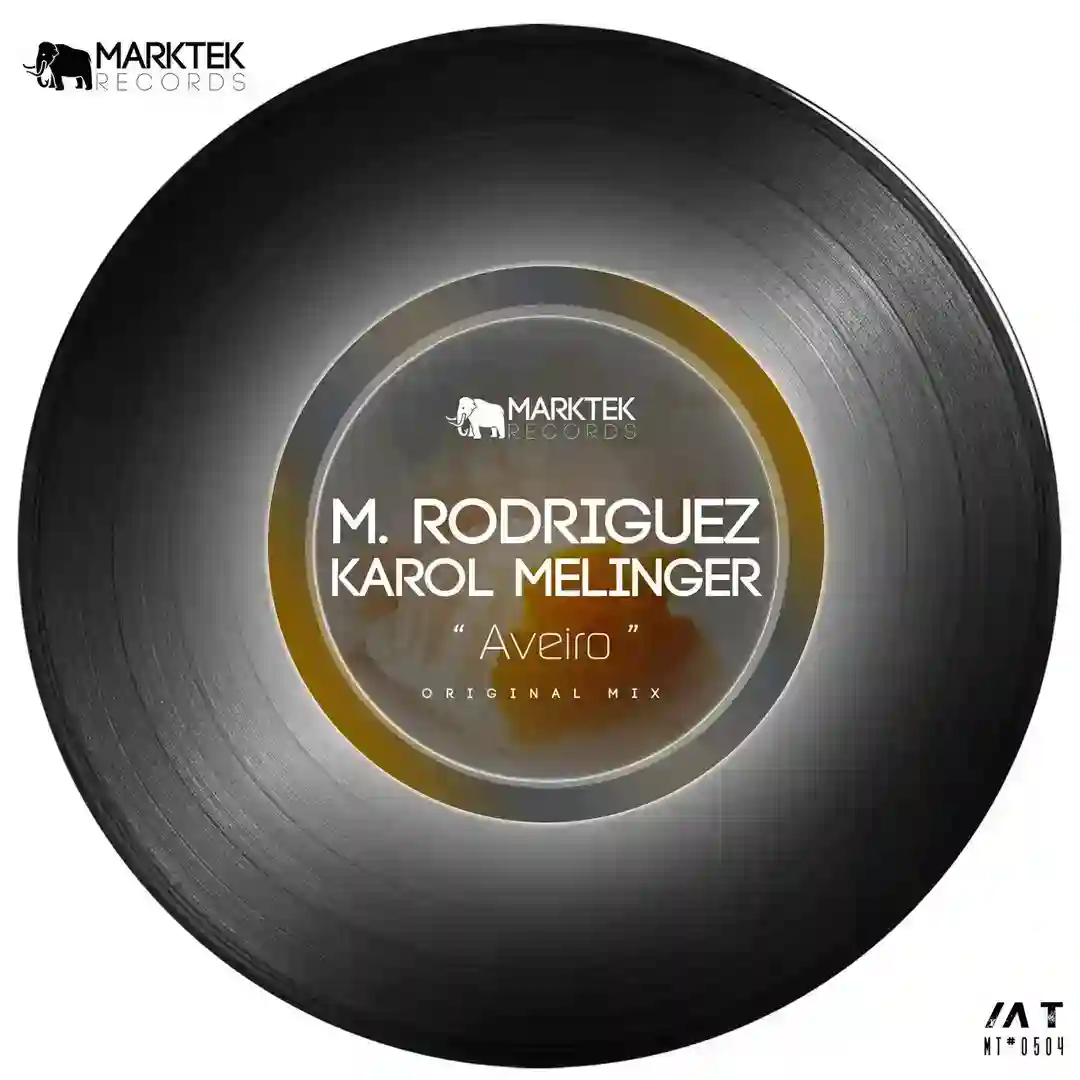 Aveiro (Original Mix) cover